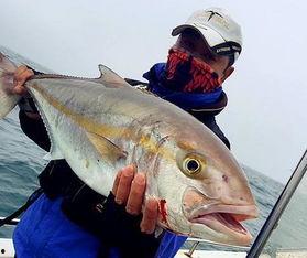 网红鱼小妹吃瓜视频下载,揭秘网红圈幕后故事